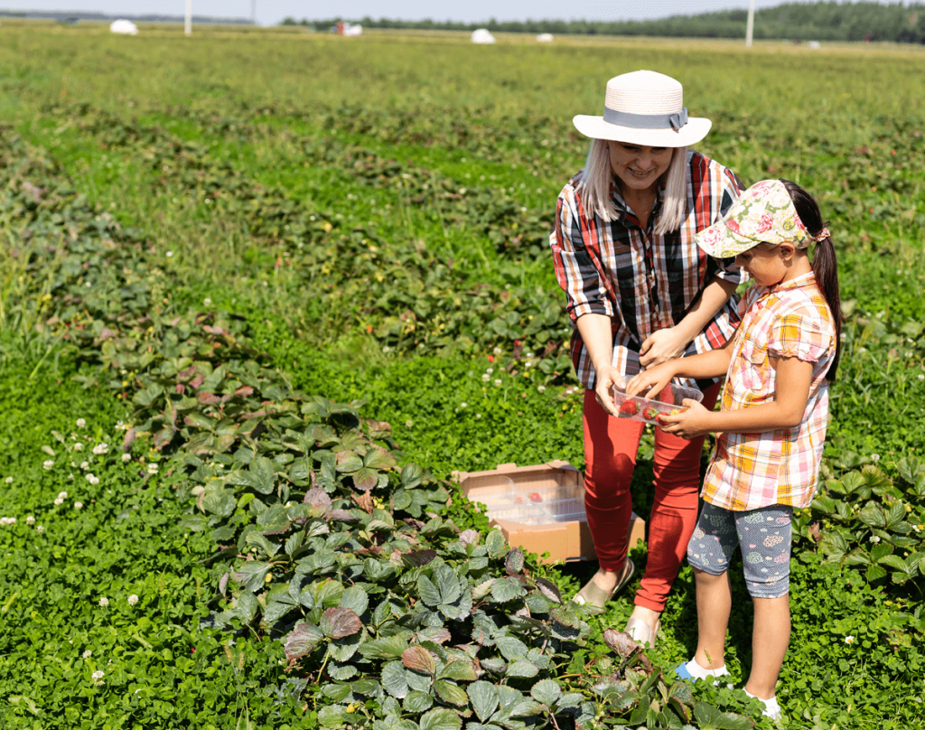 Agriculture Portfolio