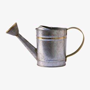 Finest Garden Trowel