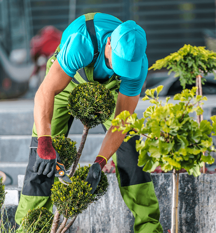 Start Planting